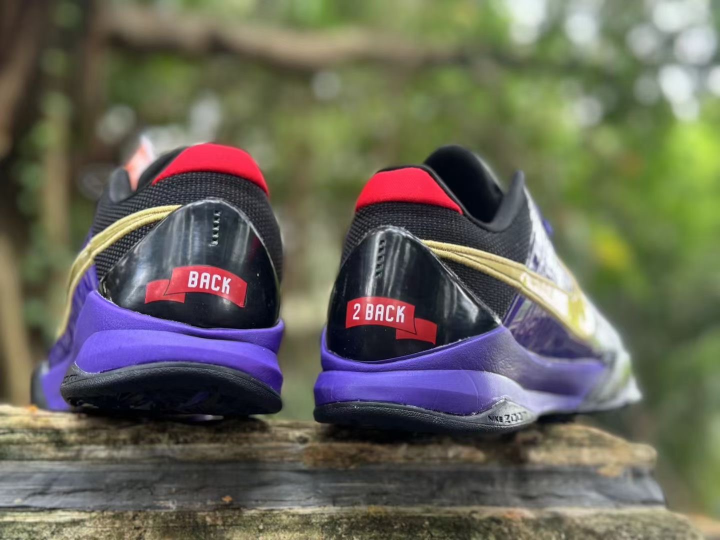 Nike Kobe 5 Protro Eggplant